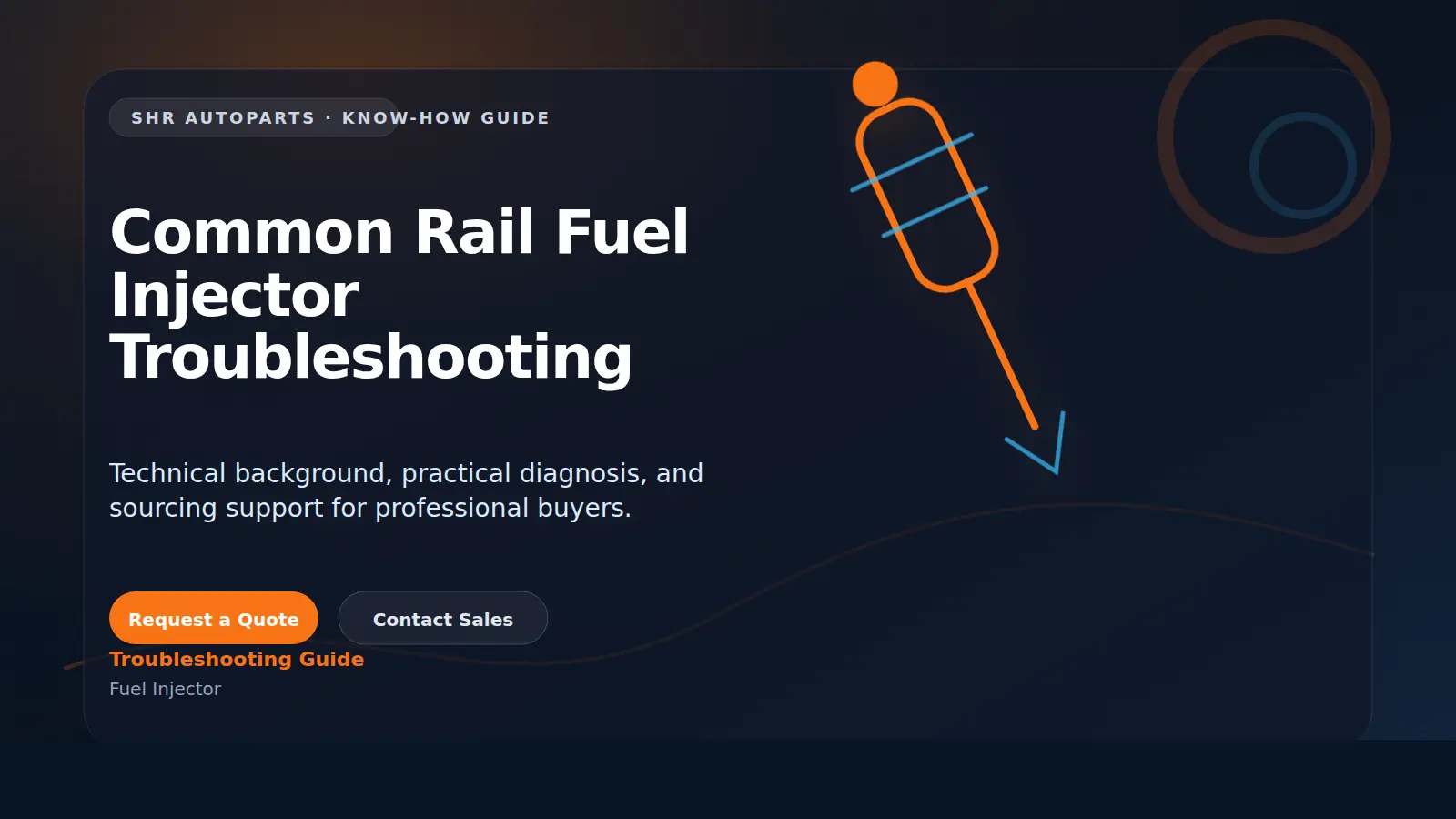 Common Rail Fuel Injector Troubleshooting technical visual for SHR Autoparts Fuel Injector B2B sourcing